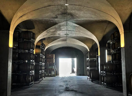 Vintage Diary: Winery Action