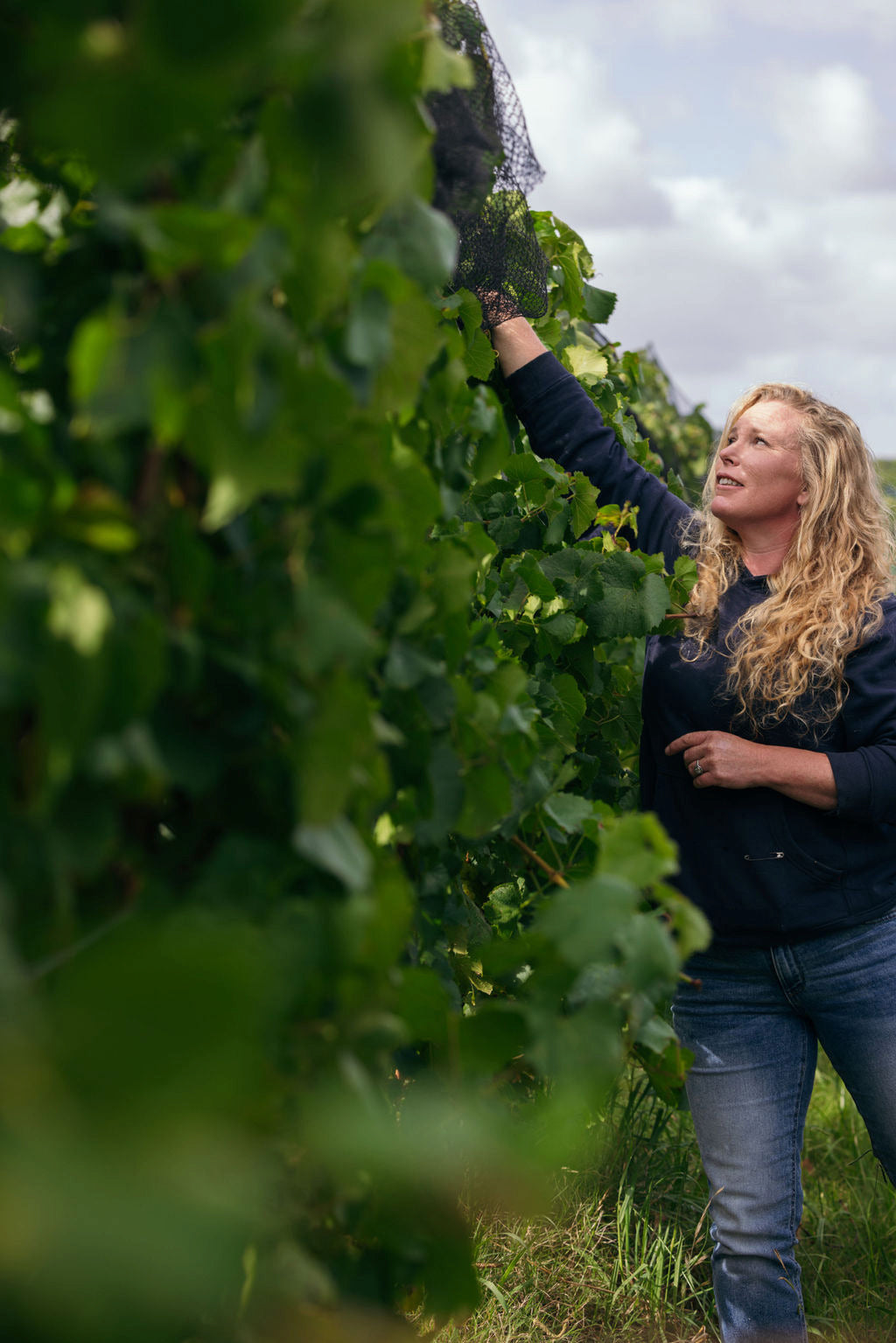 Woman with curly hair adjusting protective netting over grapevines in the vineyard