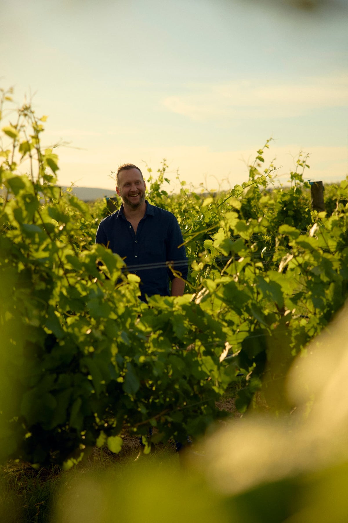 Man smiling while standing among vineyard rows in golden evening light