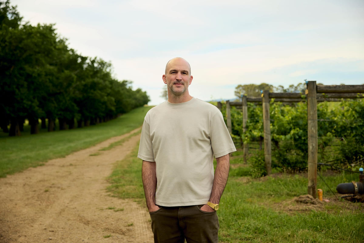 Man standing on a dirt path beside the vineyard and tree-lined driveway