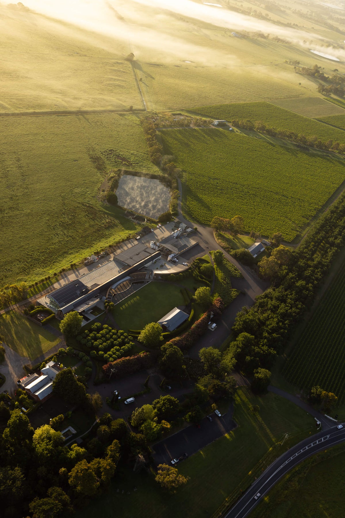 Aerial view of the Yering Station winery buildings and surrounding vineyard rows in golden light