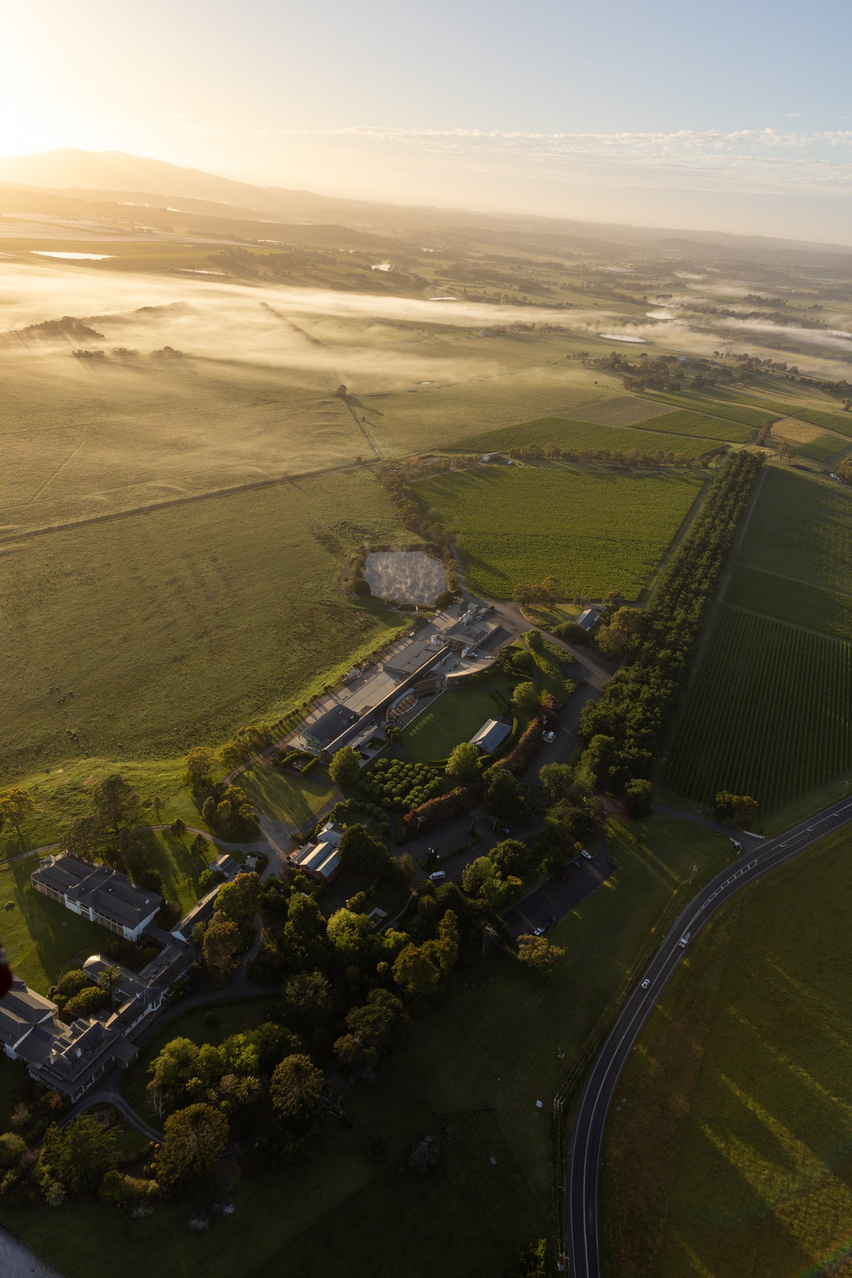Aerial view of Yering Station estate and vineyards with morning mist at sunrise