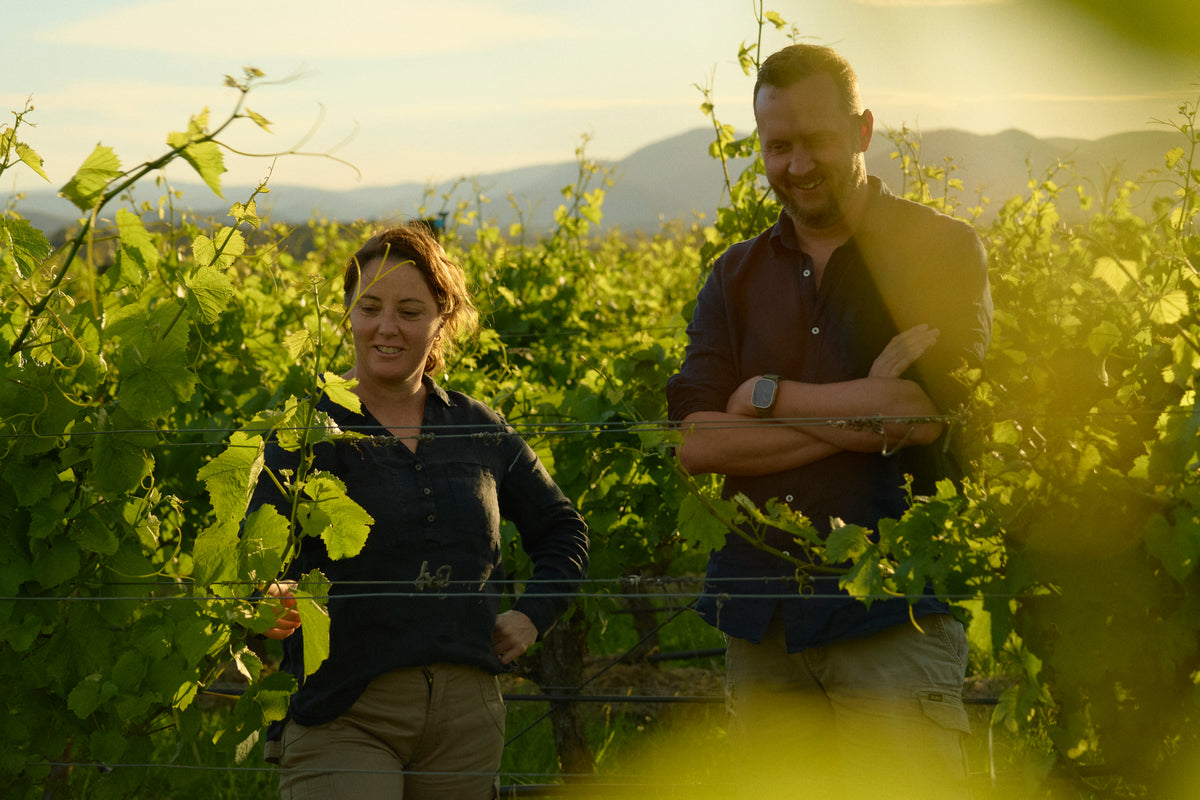 Man and woman laughing together while walking through a sunlit vineyard row