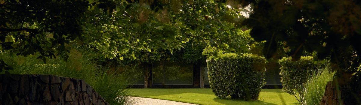Garden pathway lined with trees and clipped hedges leading toward a stone building