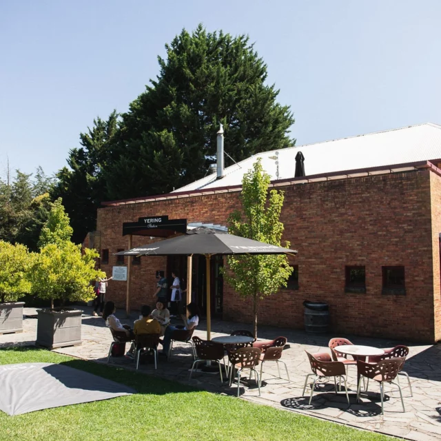Step into our world of wine. At our Cellar Door, every visit is an immersive experience. Taste through our full collection of wines—including special back-vintages and small-makes—while you soak in the atmosphere.⁠
⁠
Let our team guide you through the stories behind the bottles. We're open daily. ⁠
⁠
#YeringStation #YarraValley #CoolClimateWine #WineTasting #CellarDoor #VisitVictoria