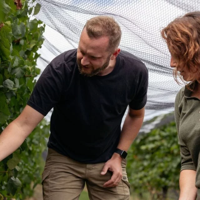 The hum of harvest is over, and our Vintage Blog is live. ⁠
⁠
Want the full rundown from our crew? Head to the link in our bio for a deep dive into this year’s vintage—what we picked, how it’s looking, and what’s next.⁠
⁠
#YeringStation #YarraValley #YarraValleyWine #CoolClimateWine #Vintage2024 #Winemaking #Viticulture
