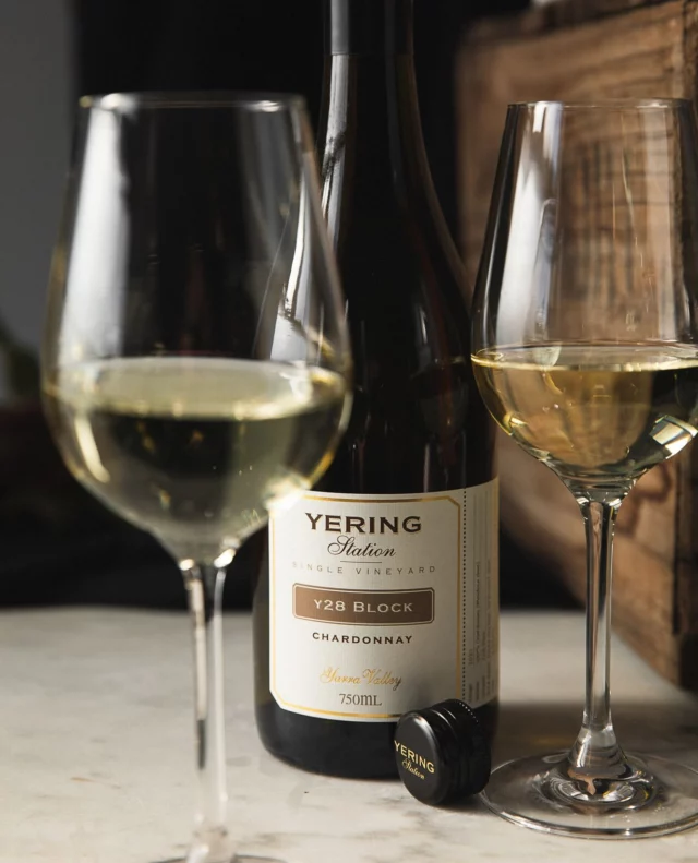 Just released. We’re delighted to announce the return of our adored Single Vineyard wines, Y28 Chardonnay and Laura Barnes Pinot Noir.⁠
⁠
With this release also comes the first-ever release of two new Single Vineyard wines — Spring Lane Chardonnay and Y13 Pinot Noir. ⁠
⁠
Available now, exclusively at yering.com and our Yarra Valley cellar door.⁠
⁠
#YeringStation #YarraValley #SingleVineyard #Chardonnay #PinotNoir #CoolClimate