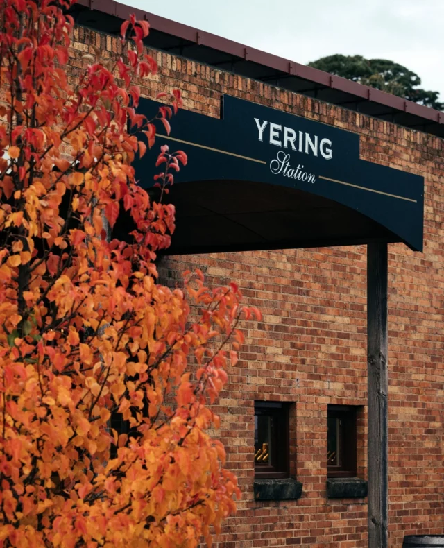 We're open all long weekend. Join us for a walk-in tasting at our Yarra Valley cellar door, or a long lunch in our signature restaurant. ⁠
⁠
#YeringStation #YarraValley #CellarDoor #CoolClimateWine #WineTasting #VisitVictoria #WhatsOnMelbourne