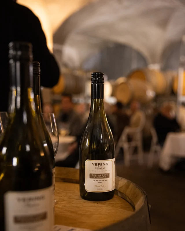 Our Mid-Year Sale is in it's final hours, ending tonight. No better time to stock your bar and cellar. Enjoy 20% off the collection using code MIDYEAR20 at checkout. ⁠
⁠
📷️ @ashkoek⁠
⁠
#YeringStation #YarraValley #YarraValleyWine